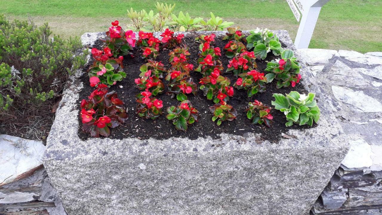 Melorne Farm Acomodação com café da manhã Camelford Exterior foto